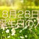 8月28日誕生日生まれの人